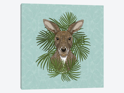 Kangaroo