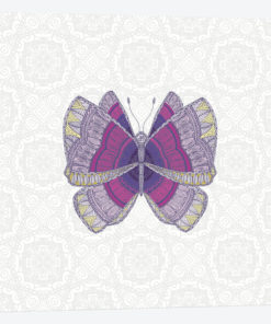Mauve Butterfly