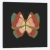Moth