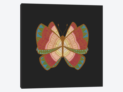 Moth