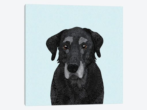 Old Black Lab