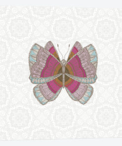 Pink Butterfly