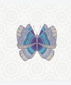 Teal Butterfly