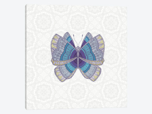 Teal Butterfly