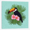 Toucan Summer