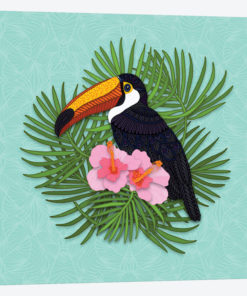 Toucan Summer