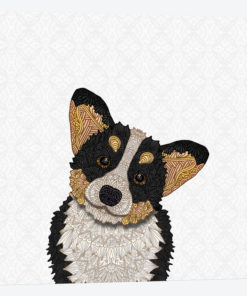 Tri-Colored Corgi