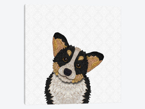 Tri-Colored Corgi