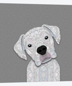 White Boxer