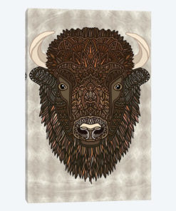 Bison