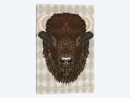 Bison