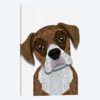 Brown Boxer