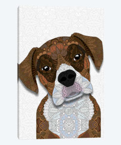 Brown Boxer