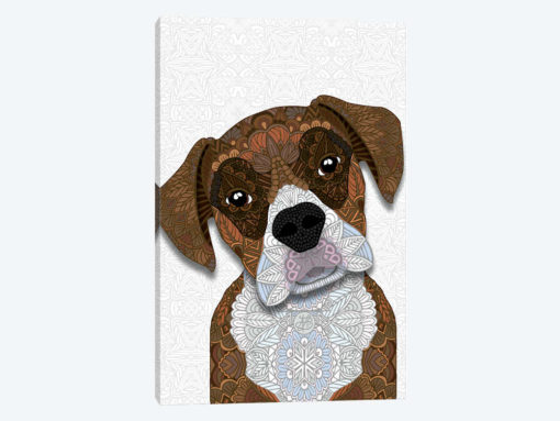 Brown Boxer