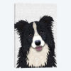 Cute Border Collie
