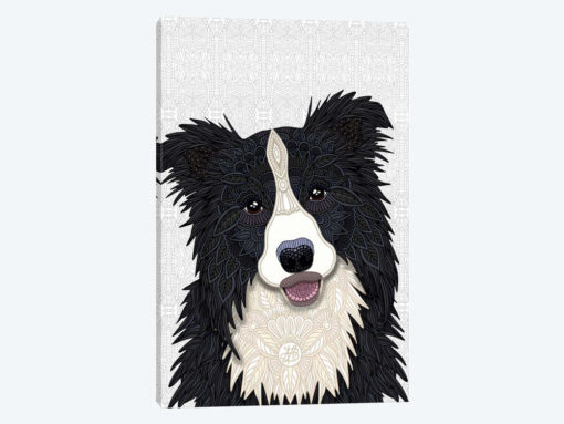 Cute Border Collie
