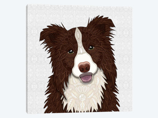Red Border Collie