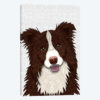 Red Border Collie