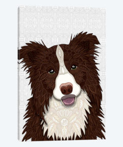 Red Border Collie