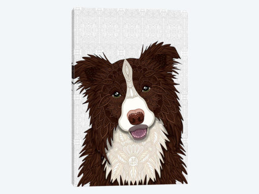 Red Border Collie