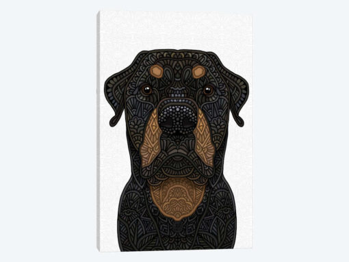 Rottweiler