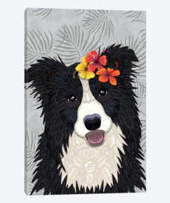 Tropical Border Collie Girl