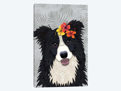 Tropical Border Collie Girl