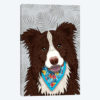 Tropical Red Border Collie Boy