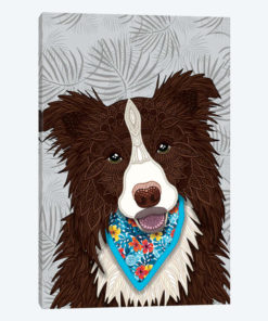 Tropical Red Border Collie Boy