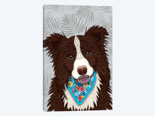 Tropical Red Border Collie Boy