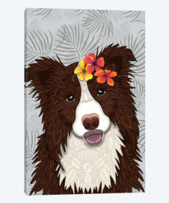 Tropical Red Border Collie Girl