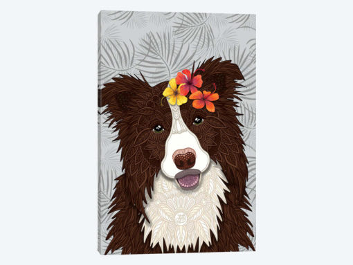 Tropical Red Border Collie Girl