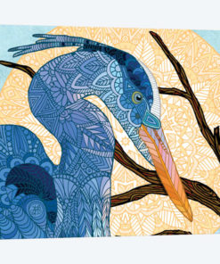 Egret Sun