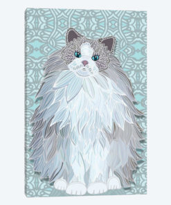 Aurora Ragdoll