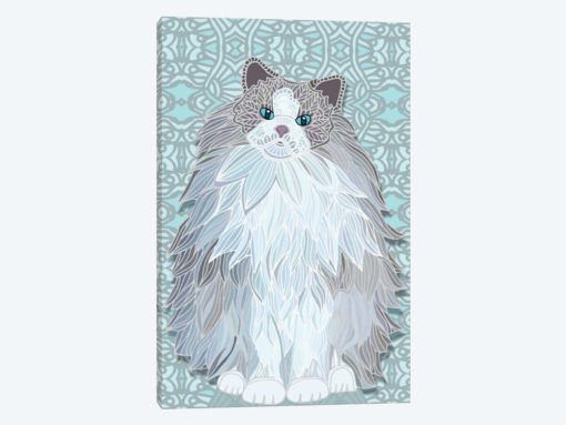 Aurora Ragdoll