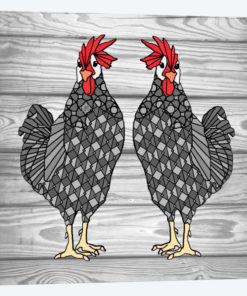 Gray Chicken