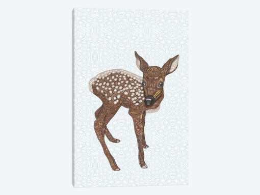 Little Fawn