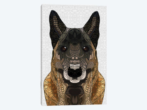 Malinois - Belgian Shepherd