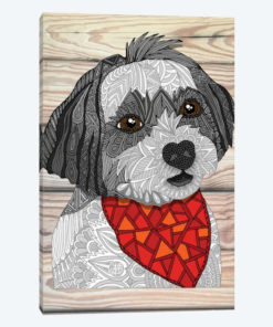 Max The Havanese