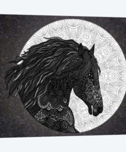 Black Horse