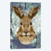 Ornate Hare