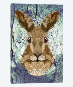 Ornate Hare