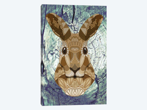 Ornate Hare