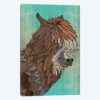 Ornate Llama