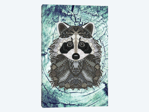 Ornate Raccoon