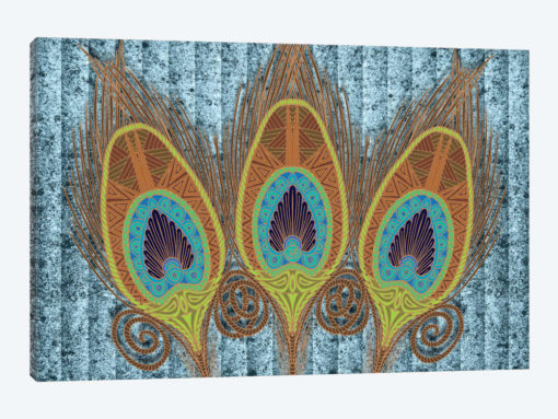 Peacock Feathers