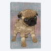 Pug Puppy