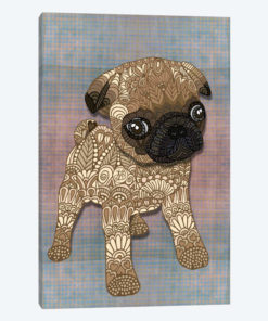 Pug Puppy