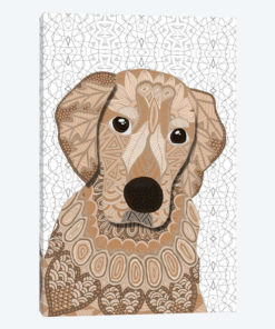 Retriever
