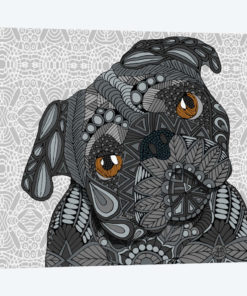Black Pug